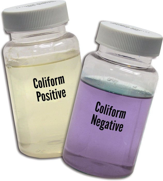 WaterWorks™ Bacteria Check (Bakterien)